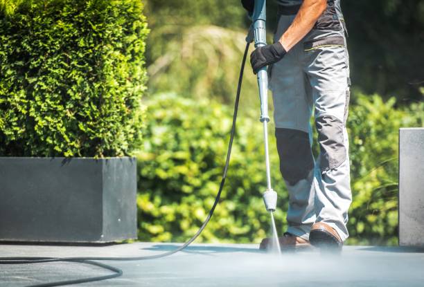 Best Gutter Cleaning and Brightening in Belle Meade, TN