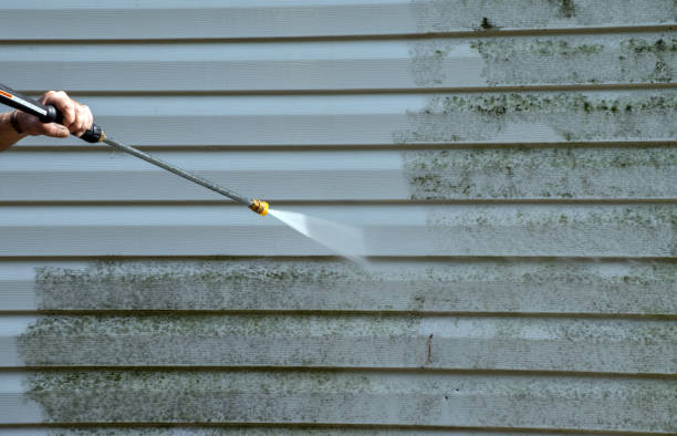 Best Window and Screen Pressure Cleaning in Belle Meade, TN